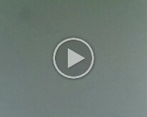 cathyrecital